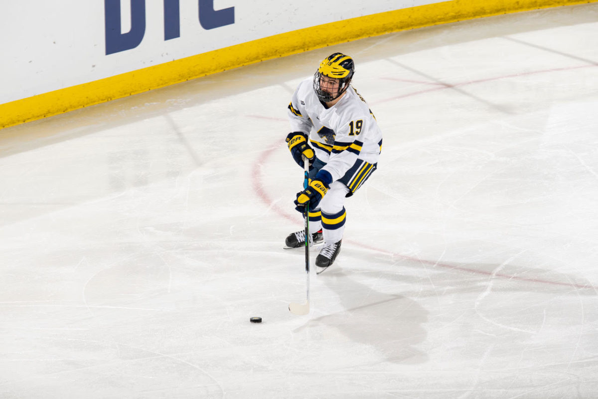 Brendan Brisson, Michigan Wolverines