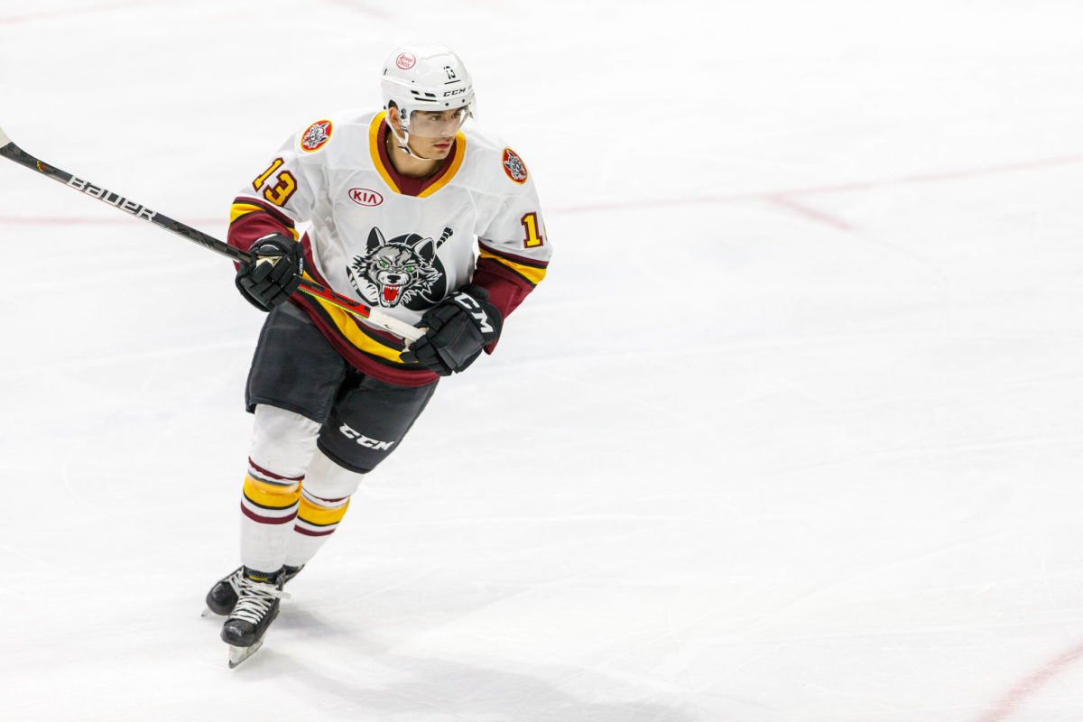 Seth Jarvis Chicago Wolves