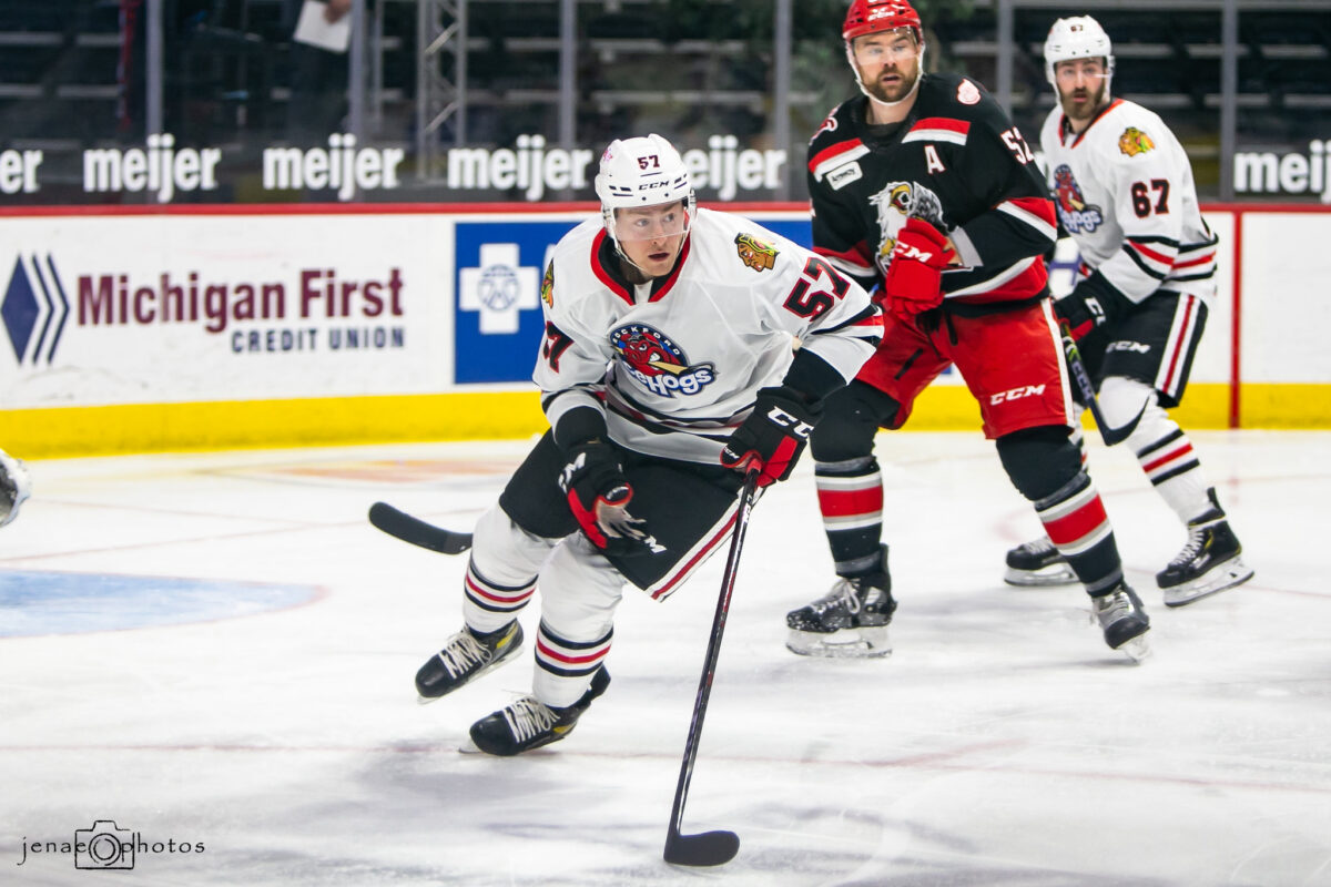 Chris Wilkie Rockford Icehogs