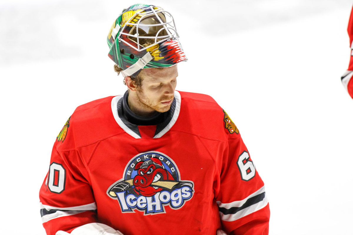 Collin Delia Rockford IceHogs