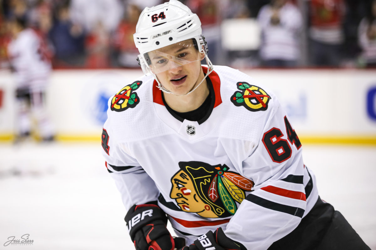 David Kampf Chicago Blackhawks