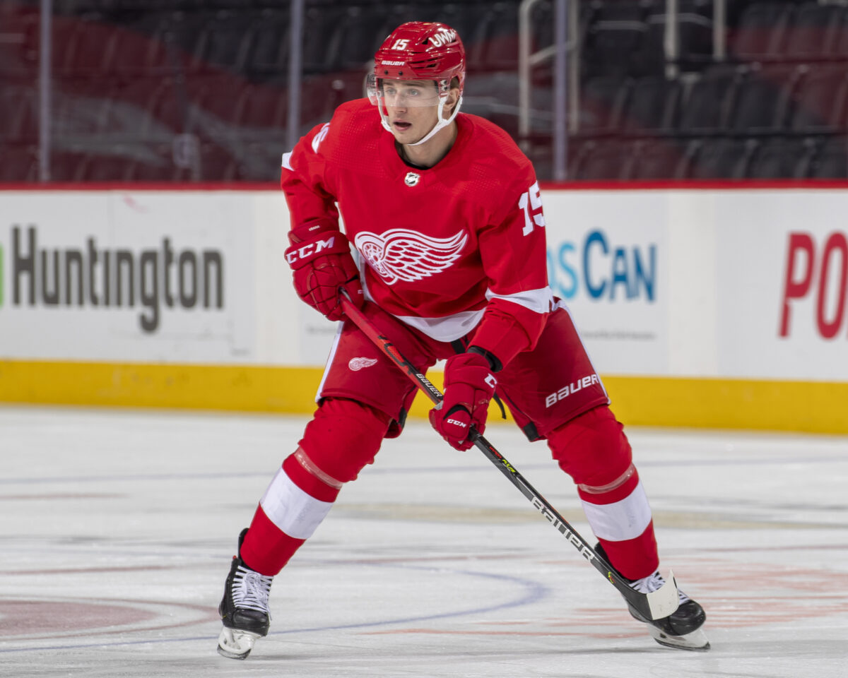 Detroit Red Wings forward Jakub Vrana