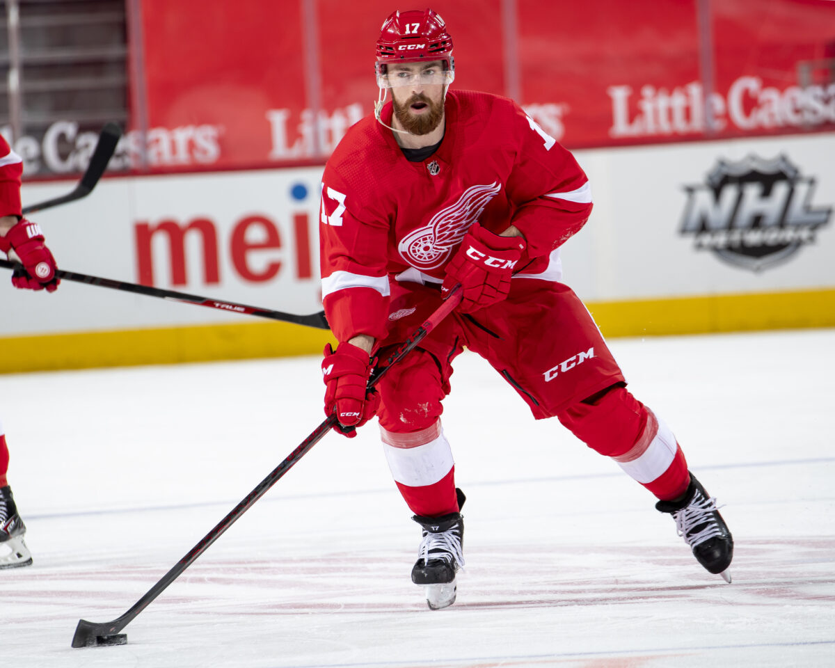 Filip Hronek Detroit Red Wings