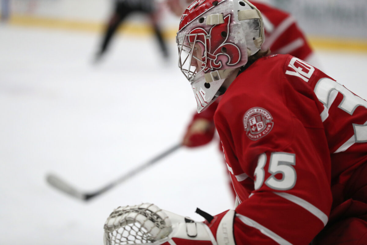 Hobie Hedquist, Dubuque Fighting Saints