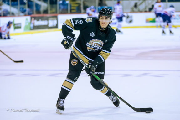 William Trudeau – 2021 NHL Entry Draft Prospect Profile - The Hockey ...