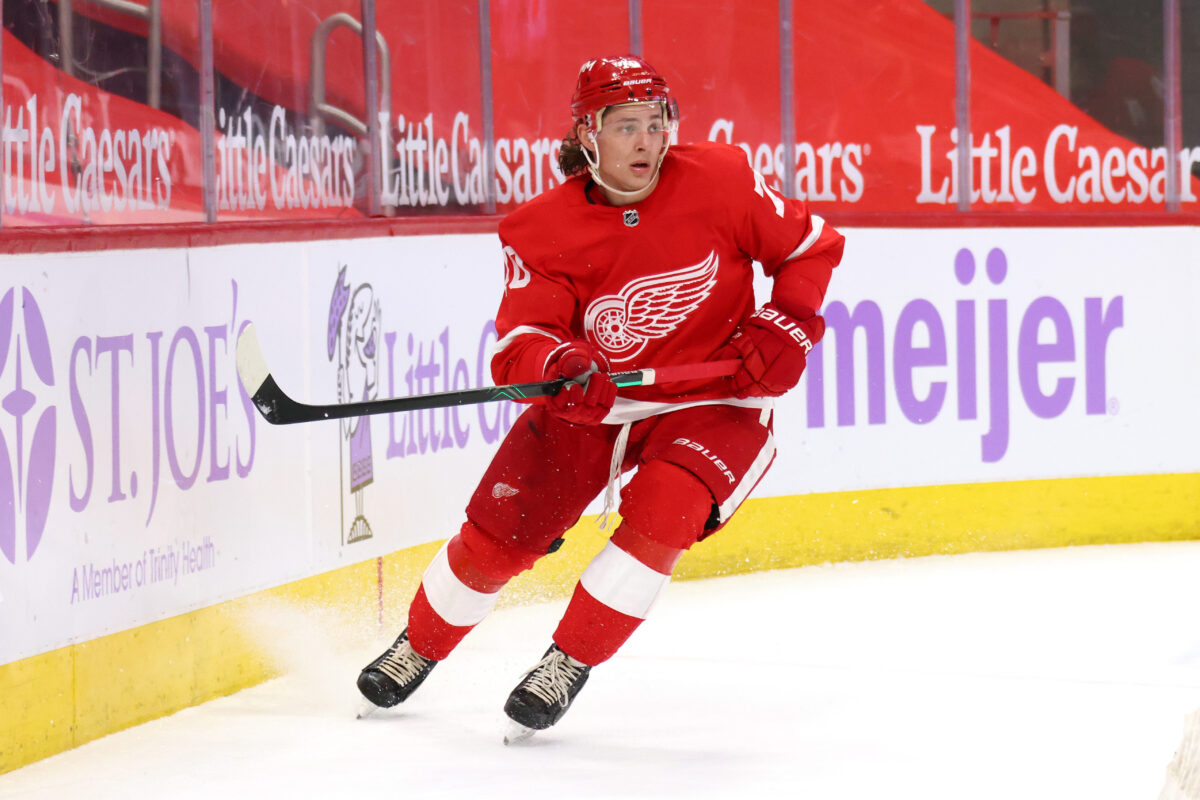 Troy Stecher Detroit Red Wings-Bruins' 2022 Trade Targets from the Detroit Red Wings