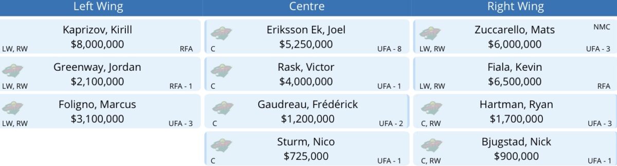 Minnesota Wild Roster