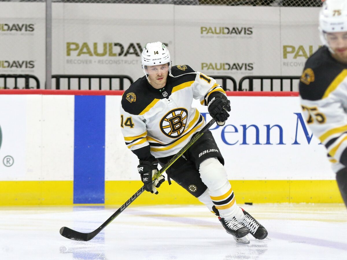 Chris Wagner, Boston Bruins