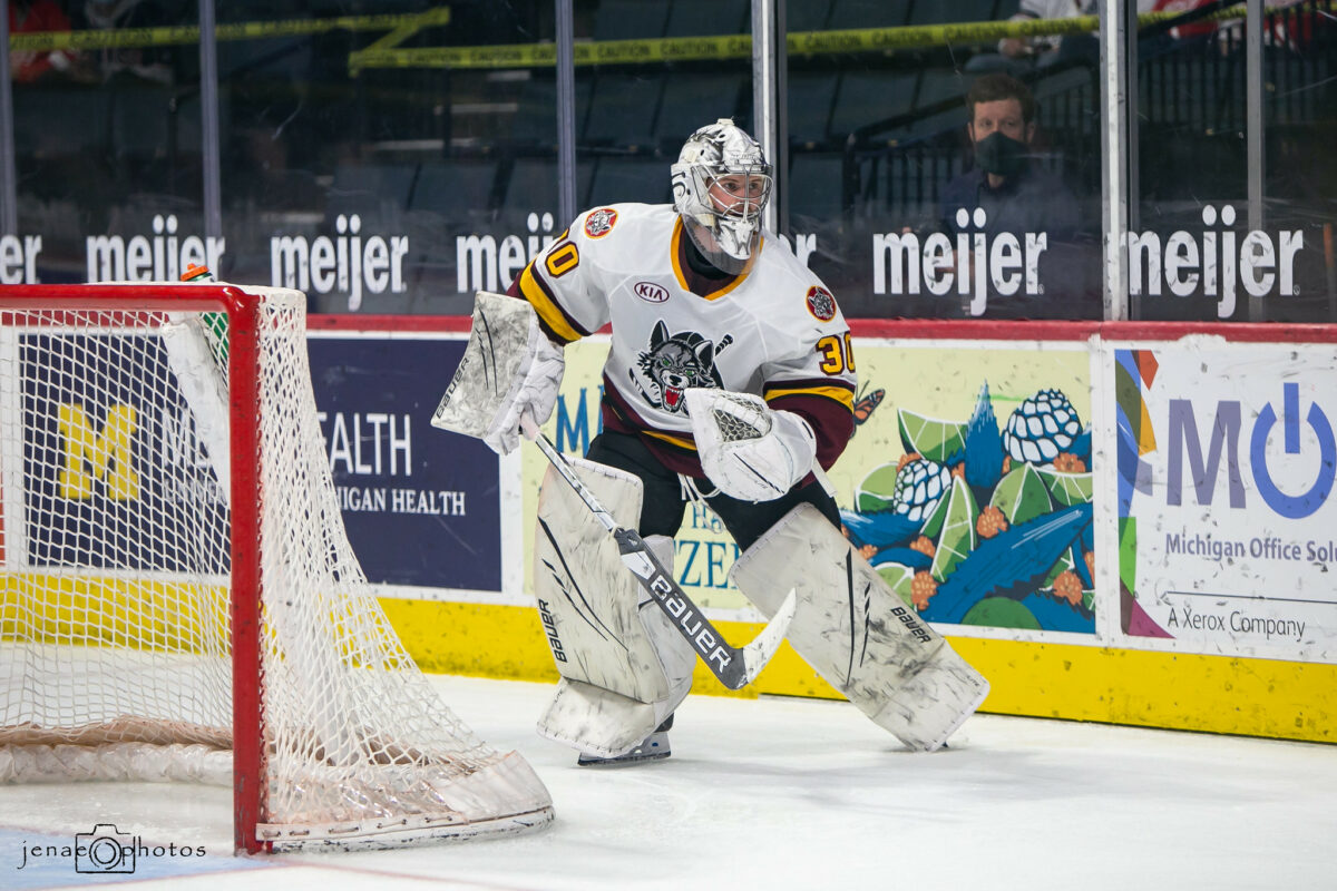 Beck Warm, Chicago Wolves