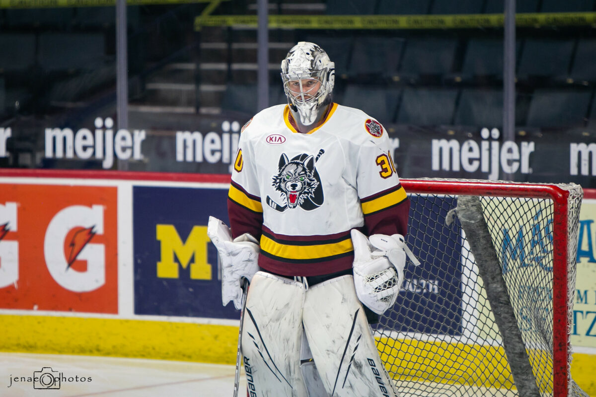 Beck Warm, Chicago Wolves