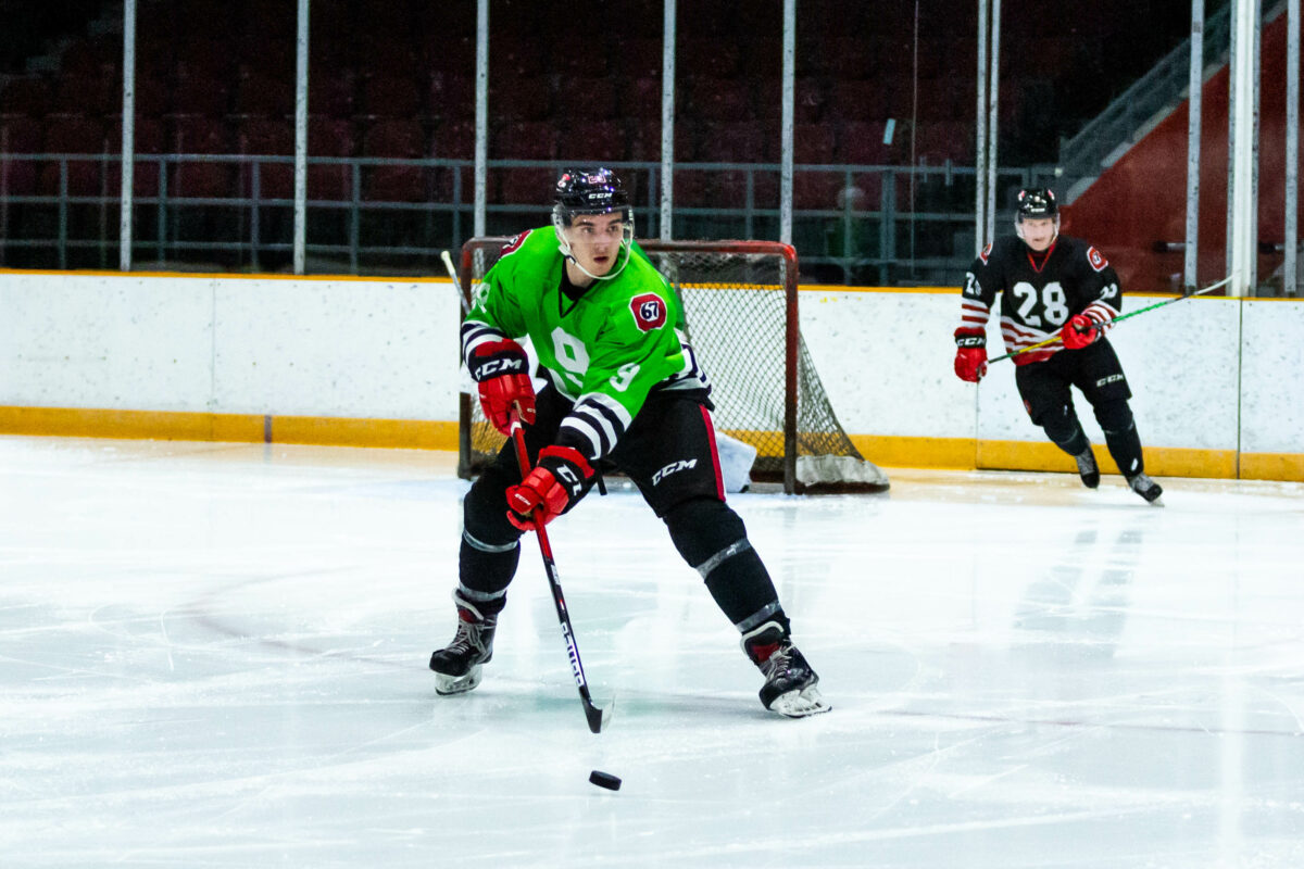 Vsevolod Gaidamak, Ottawa 67's