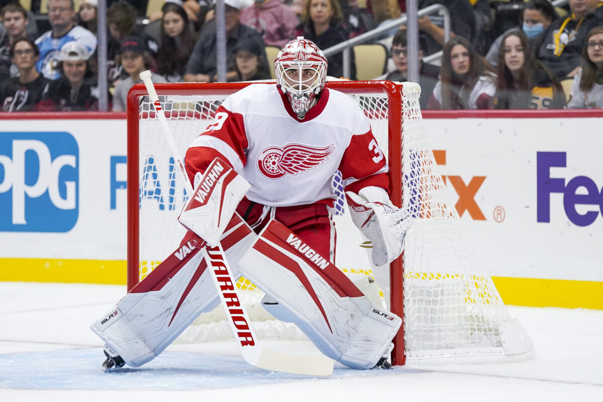 Detroit Red Wings goalie Alex Nedeljkovic