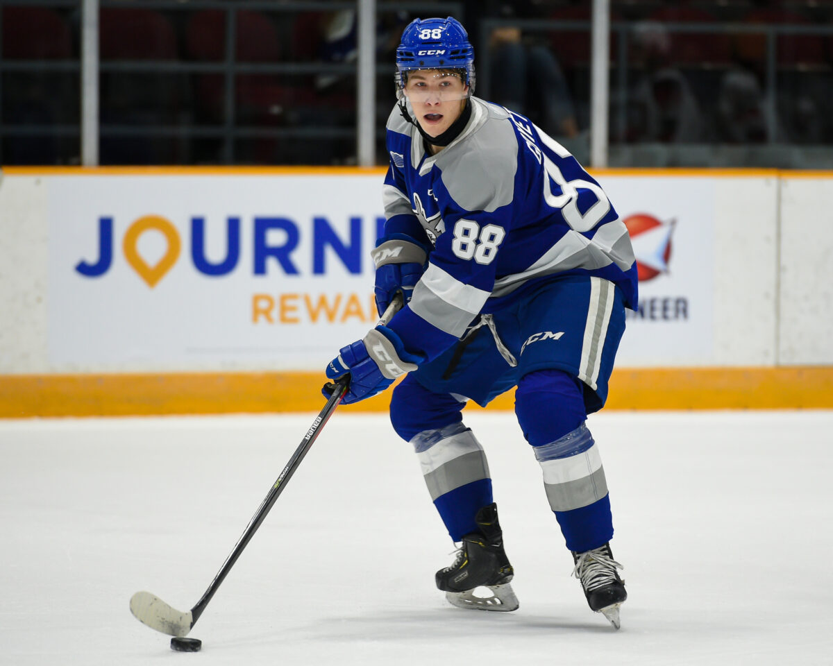 David Goyette of the Sudbury Wolves