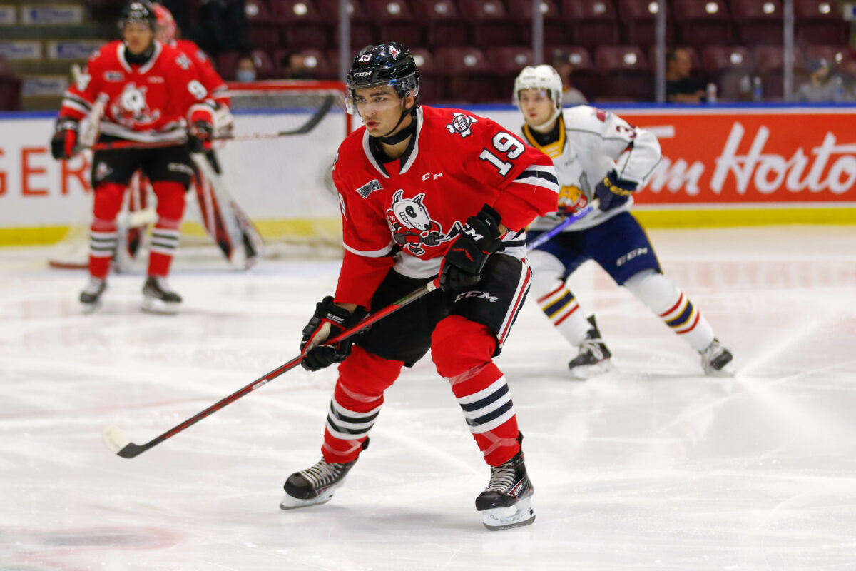 Pano Fimis, Niagara IceDogs