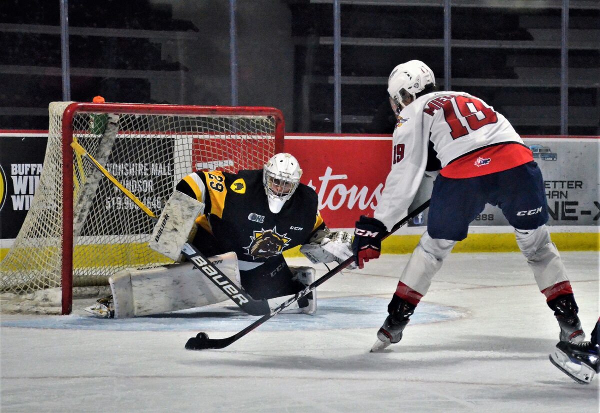 Ethan Miedema, Windsor Spitfires