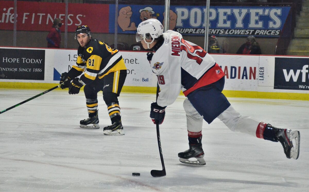 Ethan Miedema, Windsor Spitfires