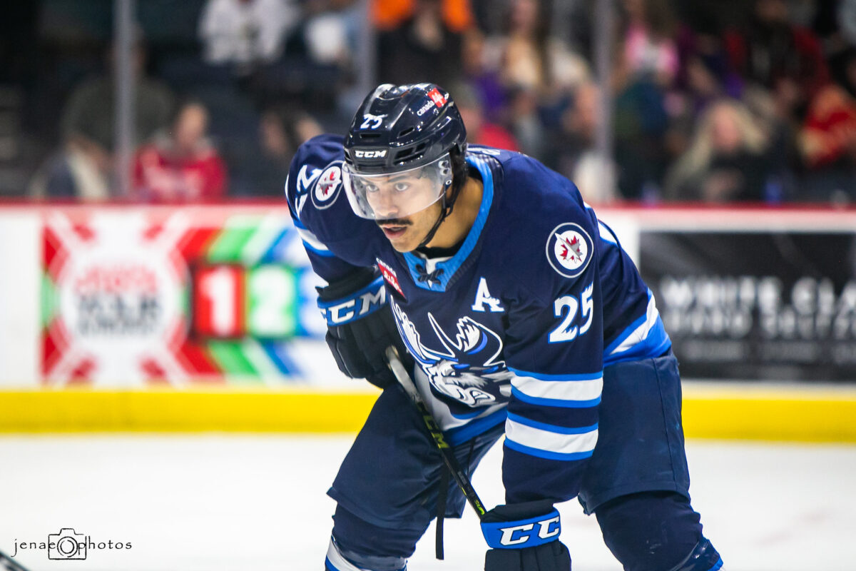 C.J. Suess Manitoba Moose