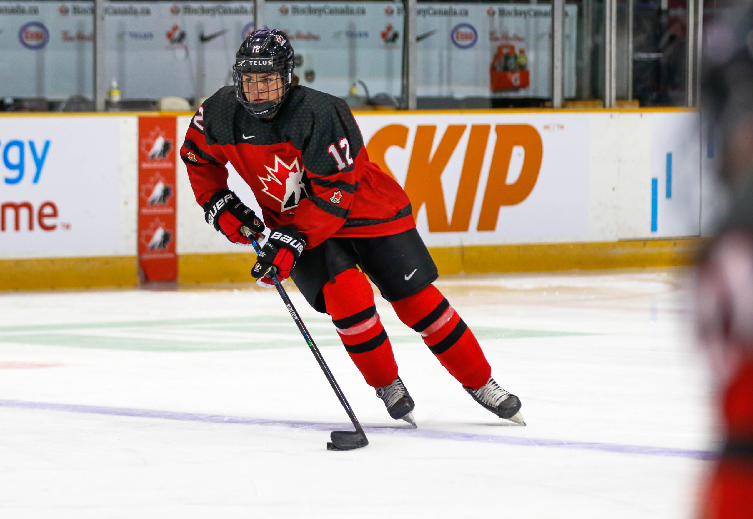 Francesco Pinelli - The Hockey Writers Francesco Pinelli - The Hockey Writers