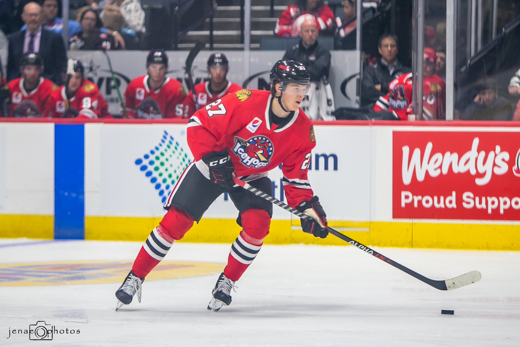 Rockford IceHogs  Forward Lukas Reichel Becomes 106th IceHogs Alum…