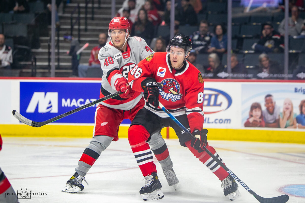 Mike Hardman Rockford IceHogs