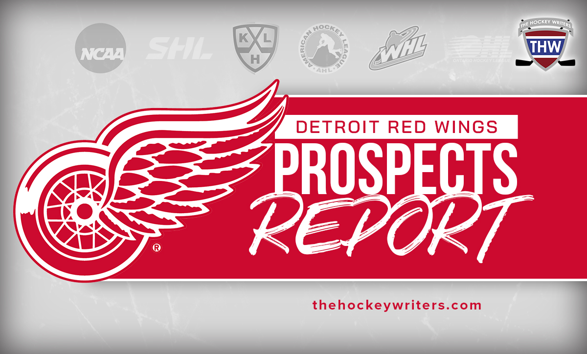 Red Wings recall top forward prospect Marco Kasper