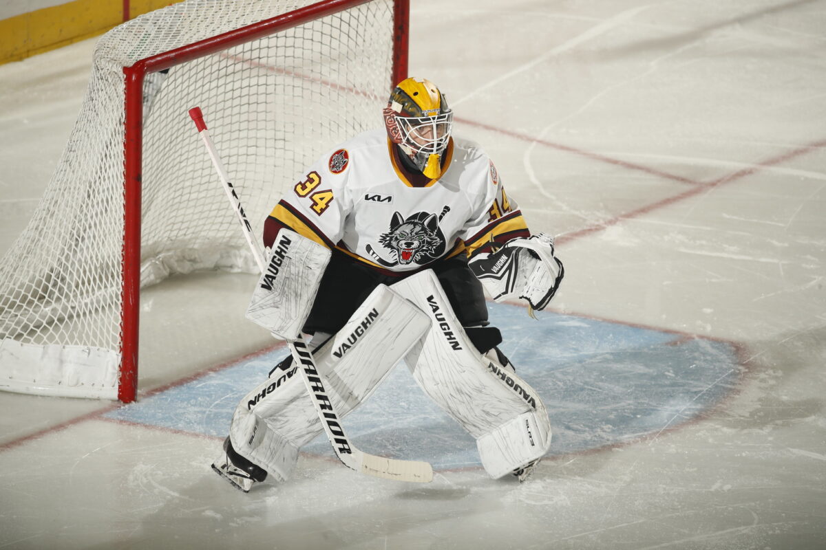 Alex Lyon Chicago Wolves