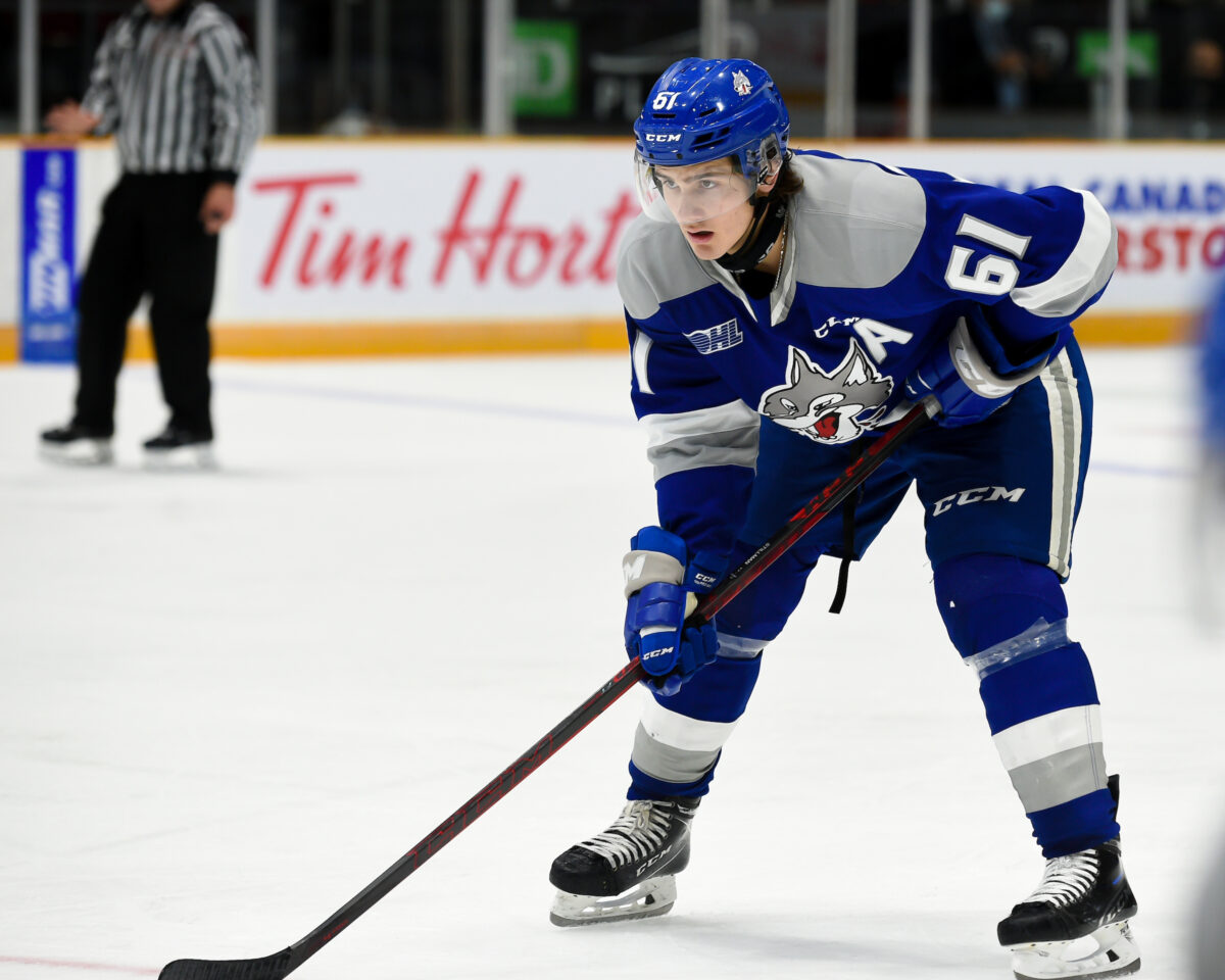 Chase Stillman Sudbury Wolves