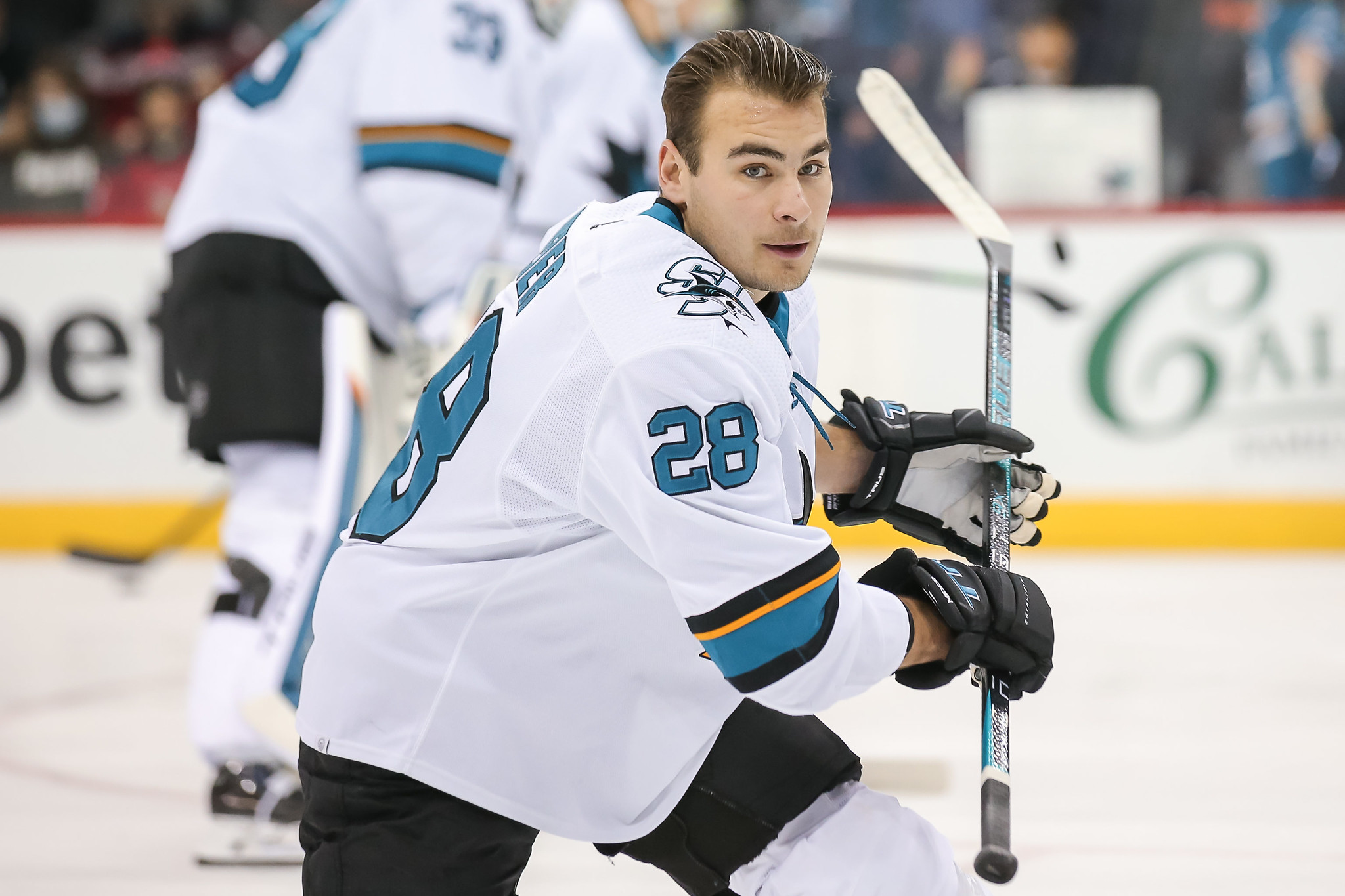 Timo Meier San Jose Sharks