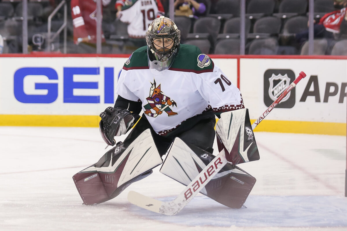 Karel Vejmelka, Arizona Coyotes