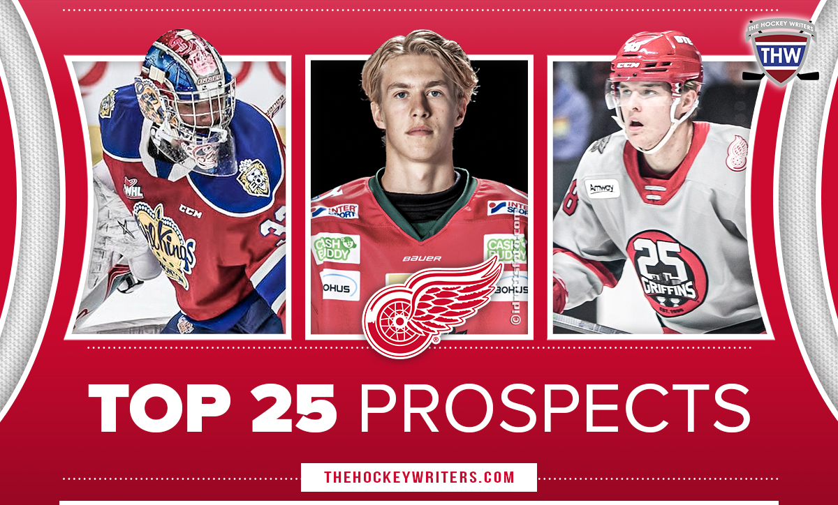 Detroit Red Wings Top 25 Prospects Simon Edvinsson, Jonatan Berggren, Sebastian Cossa & Theodor Niederbach
