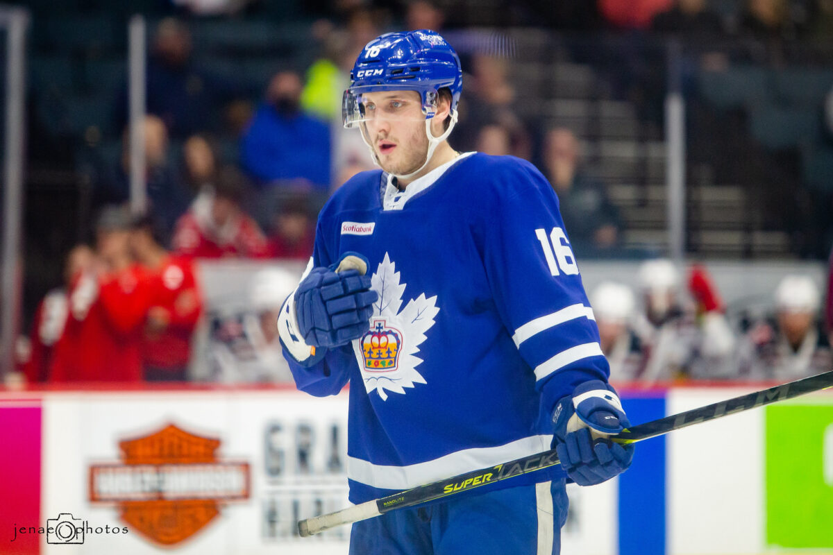 Alex Steeves Toronto Marlies