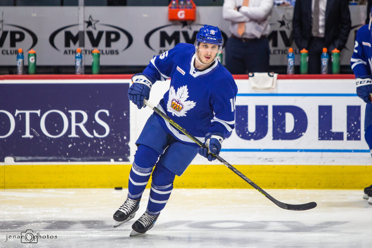 Alex Steeves Toronto Marlies