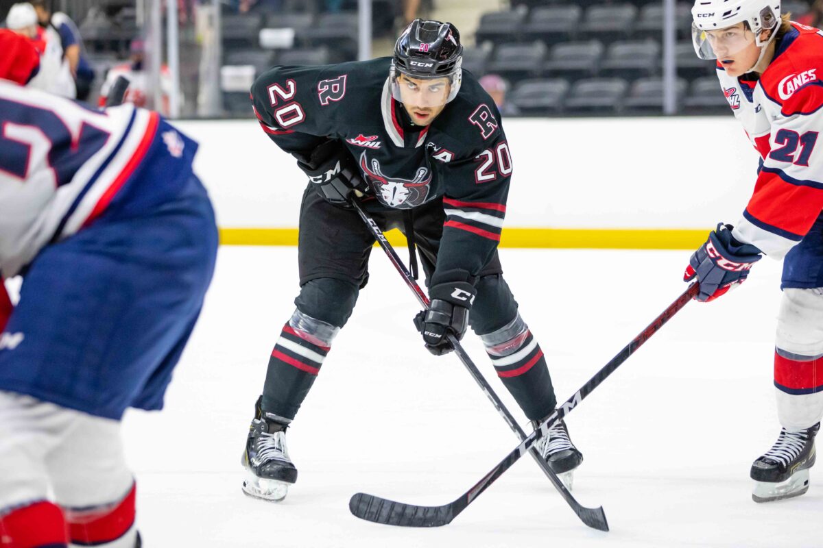 Arshdeep Bains Red Deer Rebels