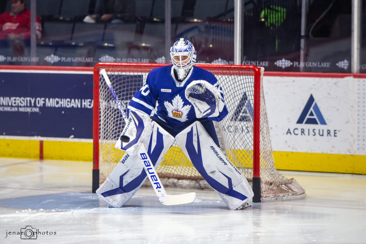 Erik Kallgren Toronto Marlies