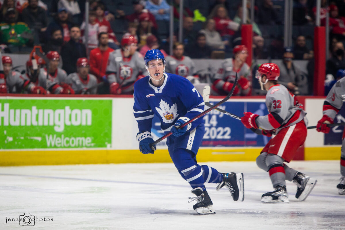 Filip Kral Toronto Marlies