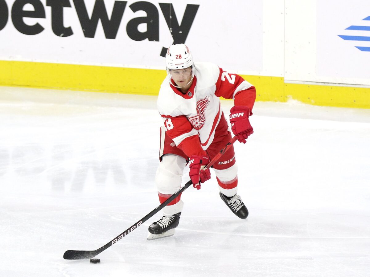 Gustav Lindstrom Detroit Red Wings