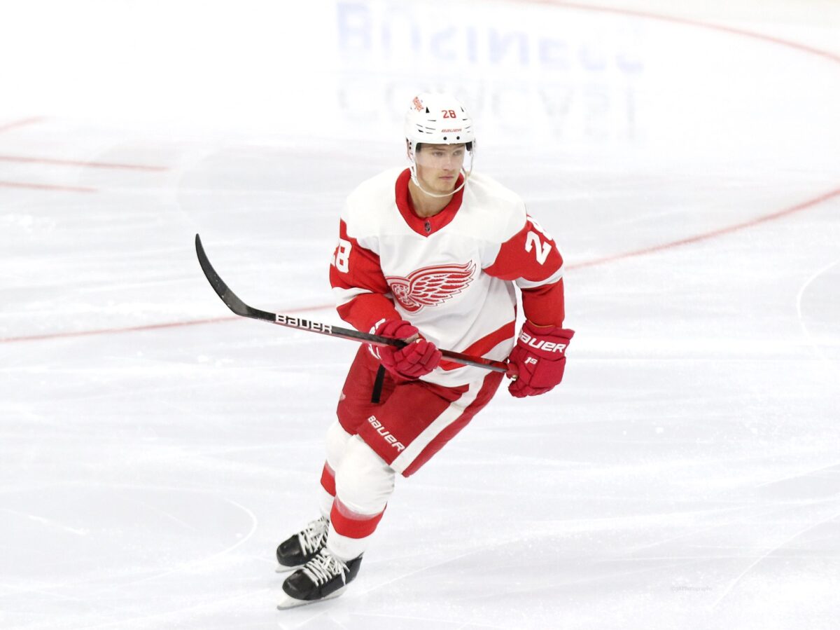 Gustav Lindstrom Detroit Red Wings