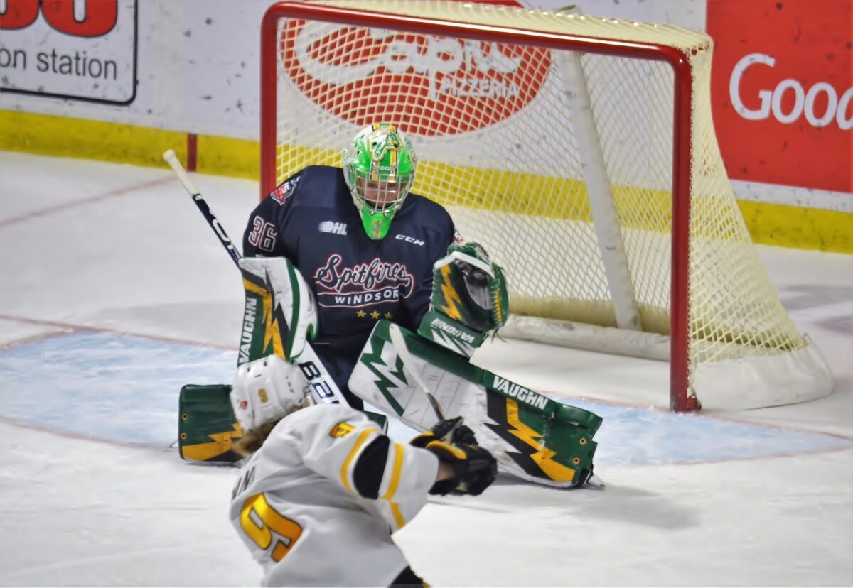 Matt Onuska Windsor Spitfires