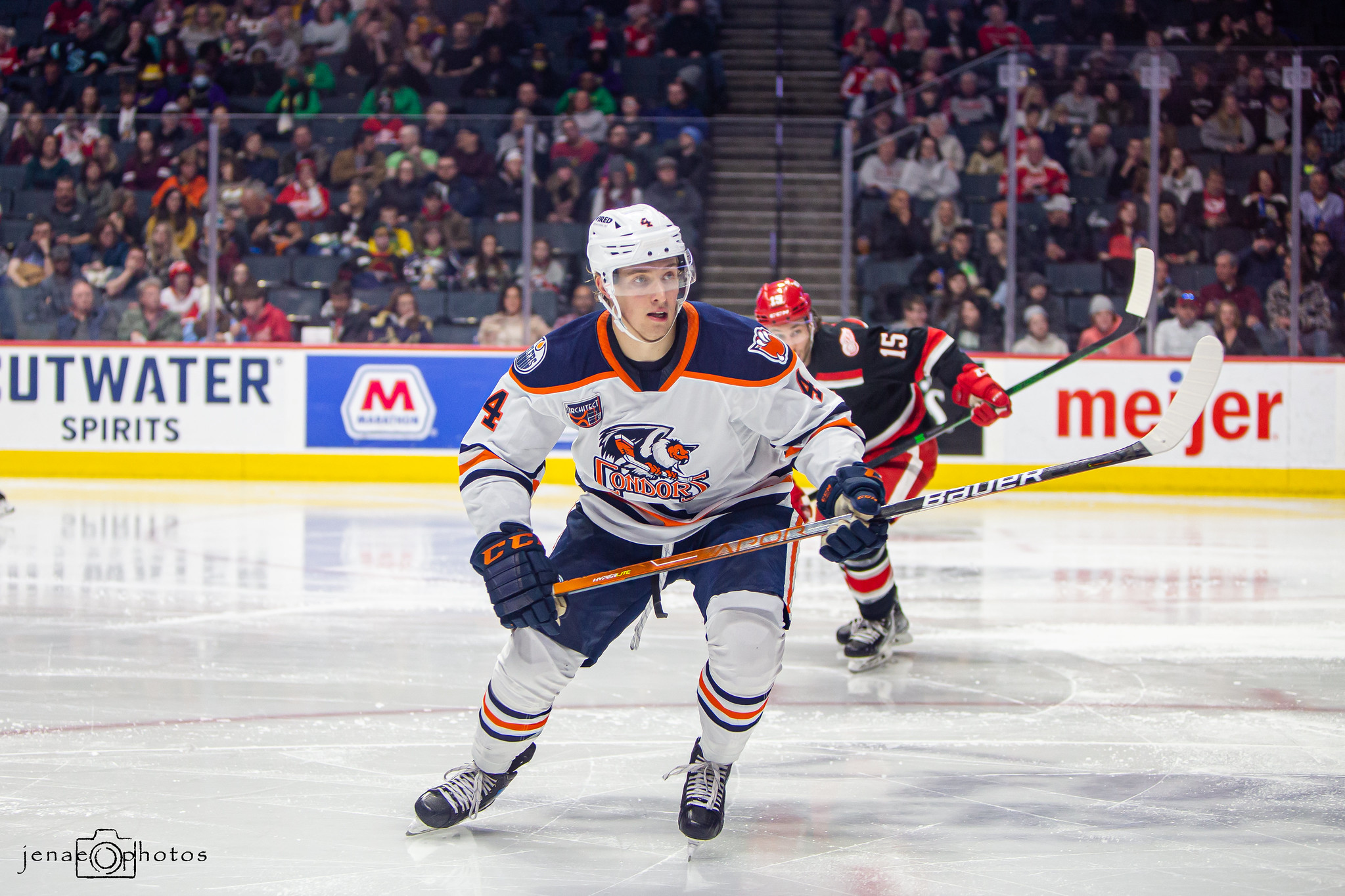 Dylan Holloway Bakersfield Condors