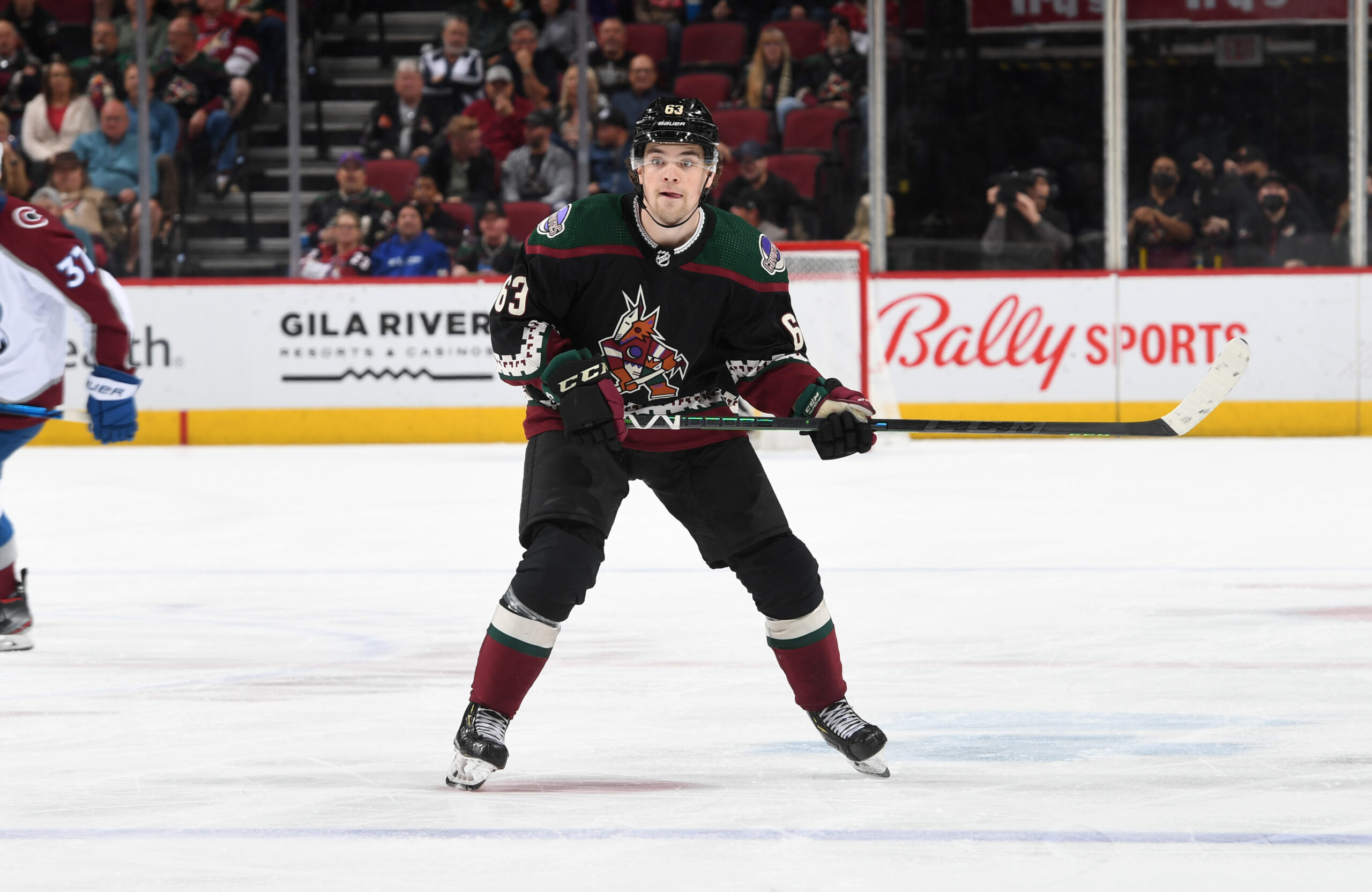 Coyotes’ Maccelli Rewarded for Hard Work and Patience