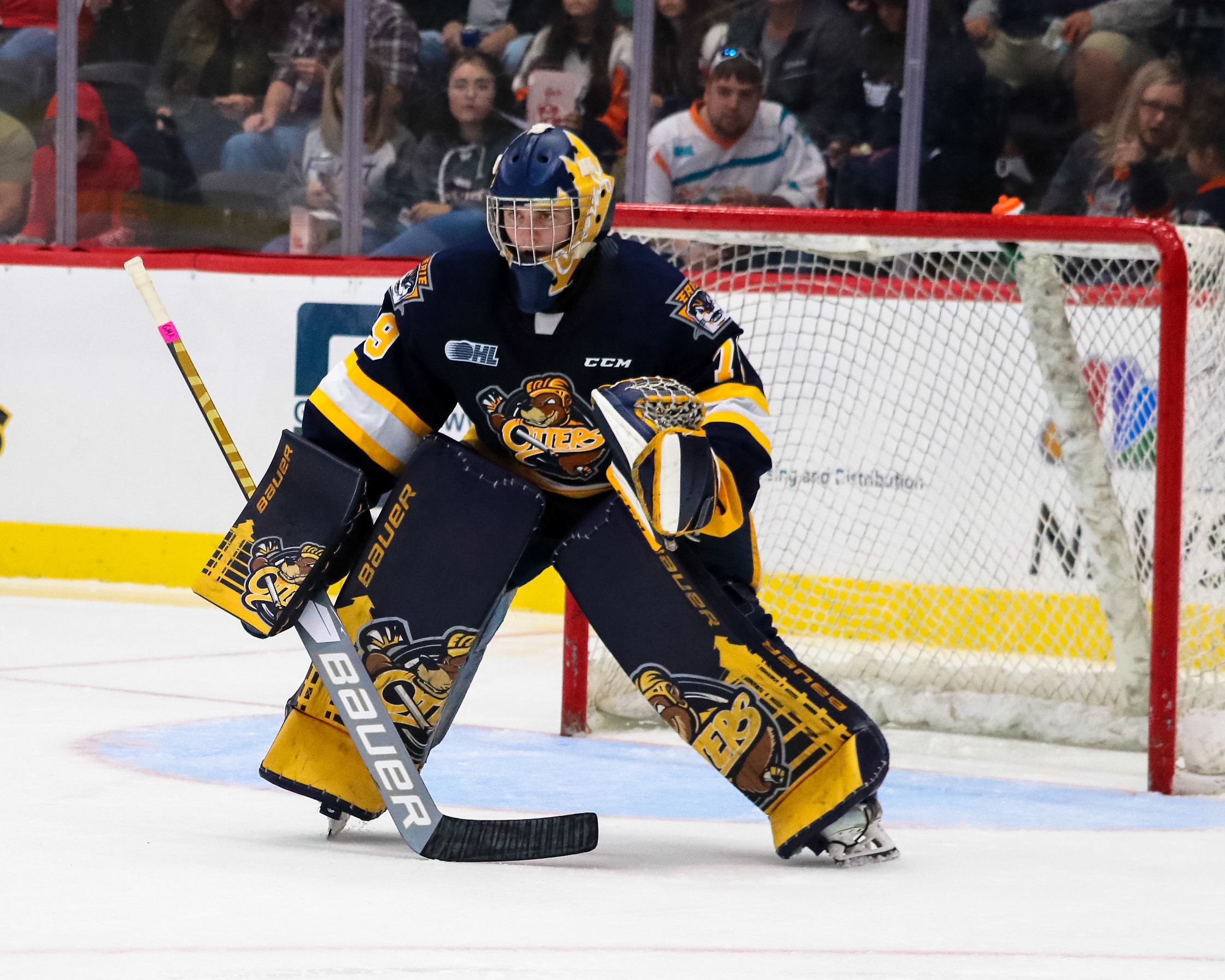 Columbus Blue Jackets impress despite preseason loss to St. Louis Blues