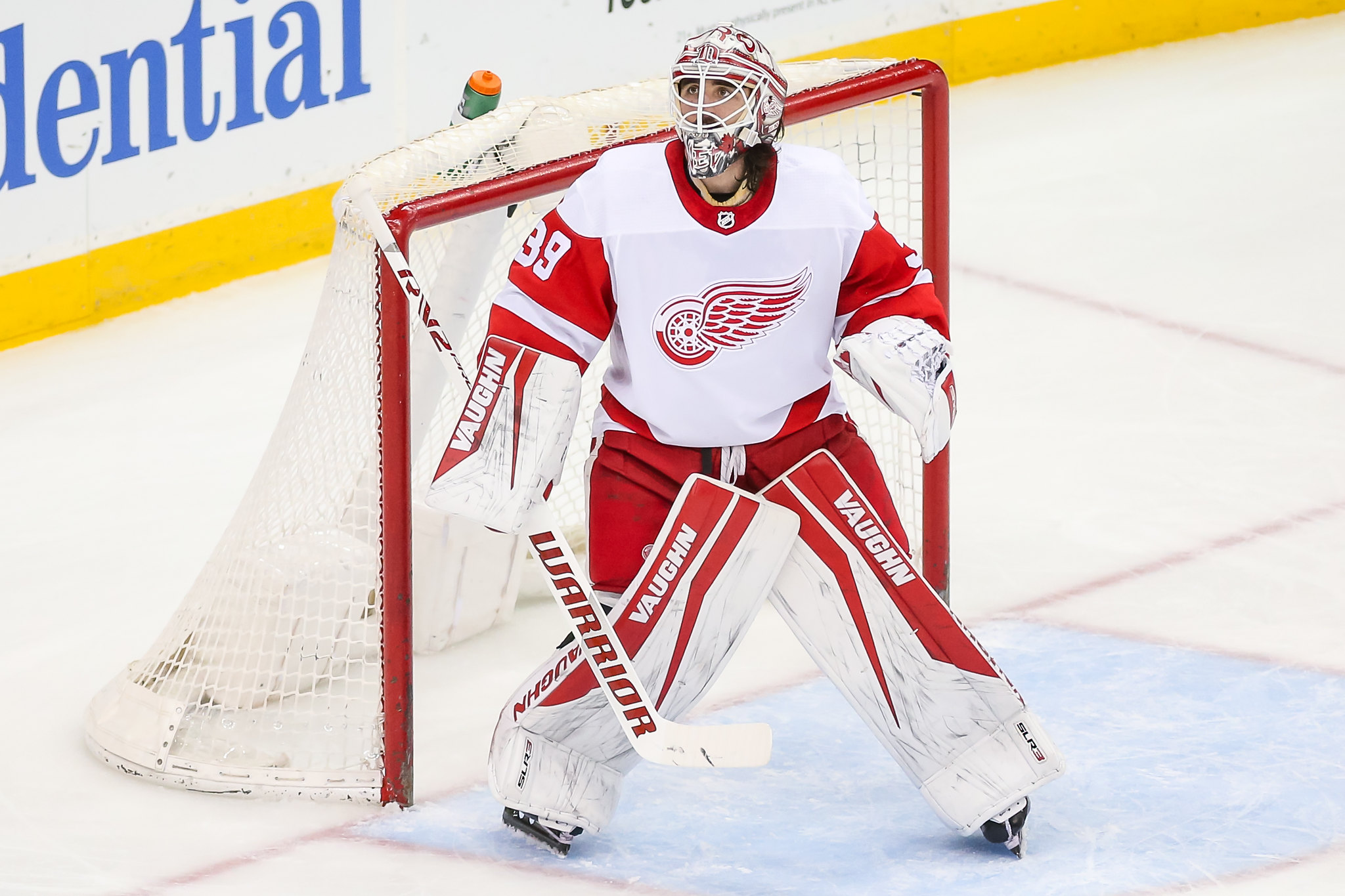 Red Wings 2022 offseason outlook: Free agents, contracts, draft