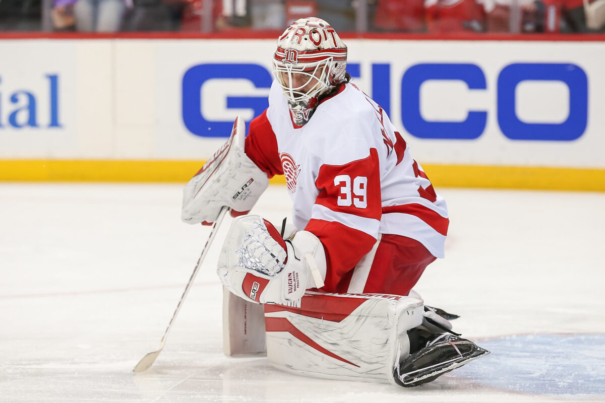 Alex Nedeljkovic, Detroit Red Wings