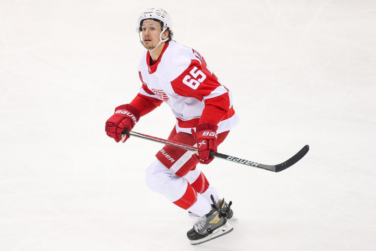 Danny DeKeyser Detroit Red Wings