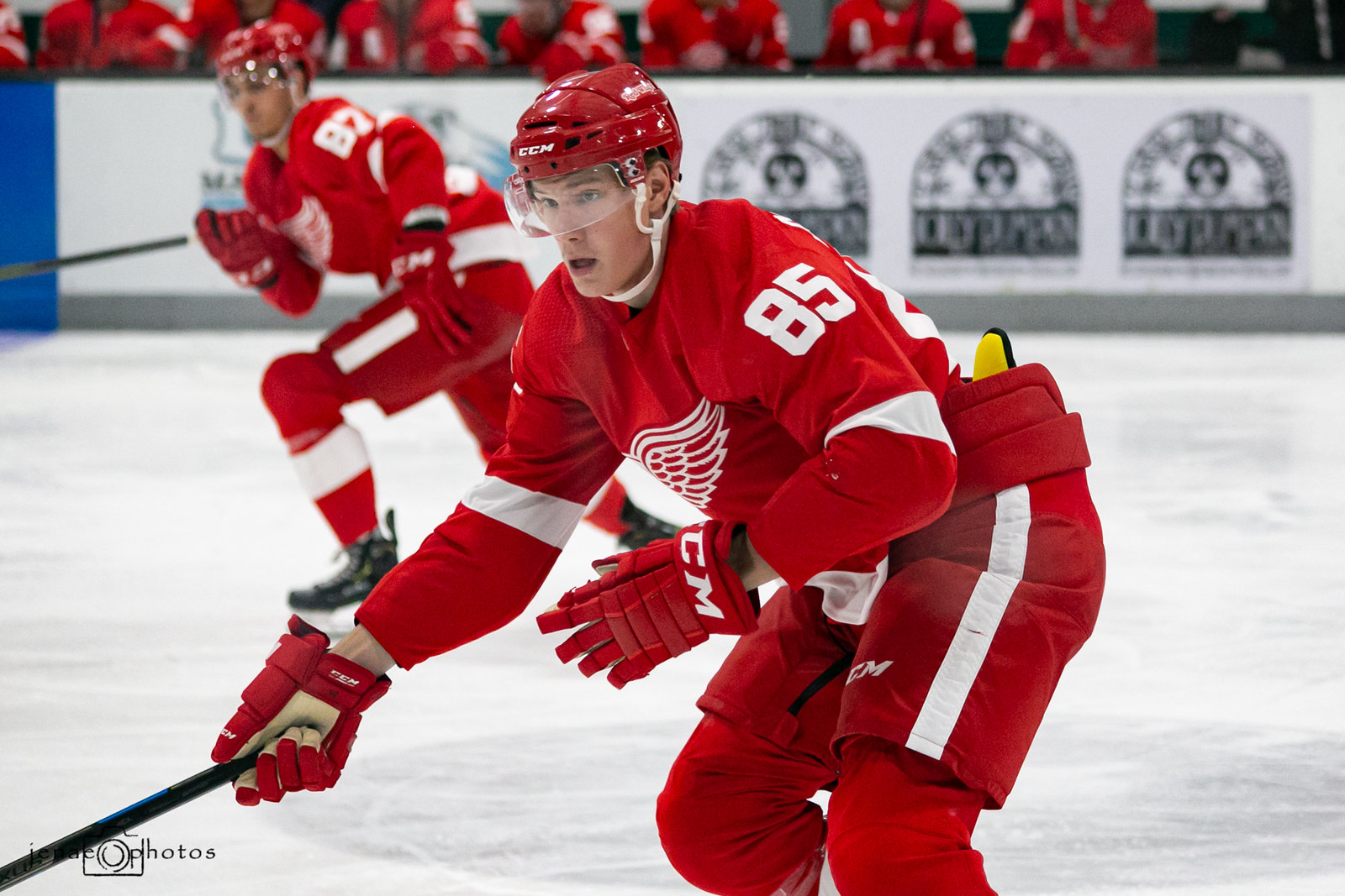 Red Wings' Elmer Soderblom Getting Ready for NHL Ice