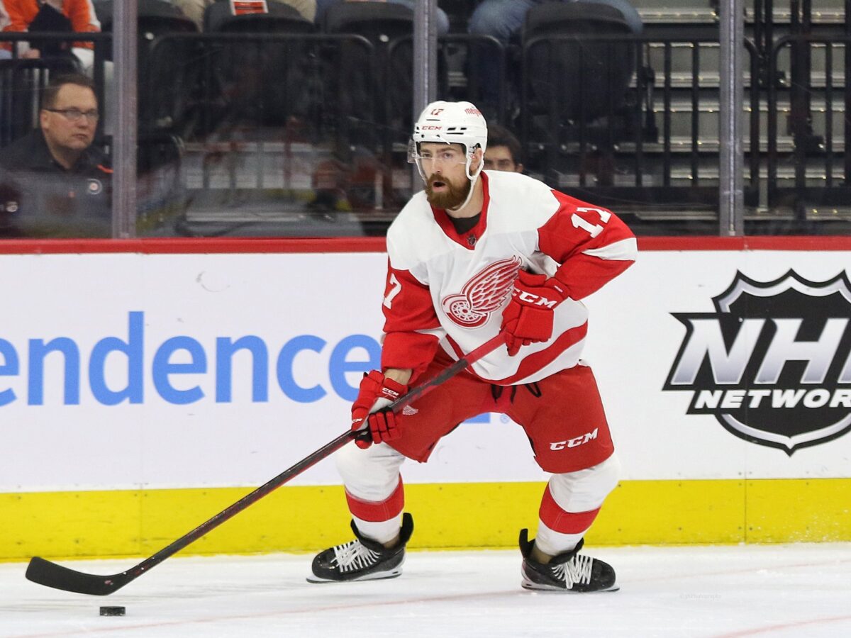 Filip Hronek Detroit Red Wings