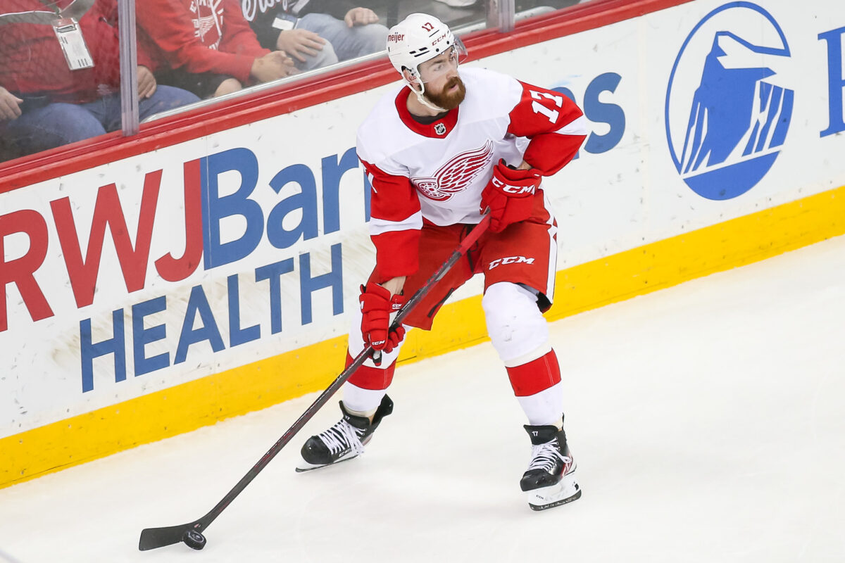 Filip Hronek Detroit Red Wings