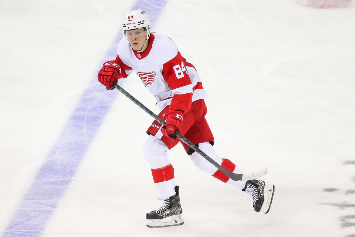 Olli Juolevi Detroit Red Wings