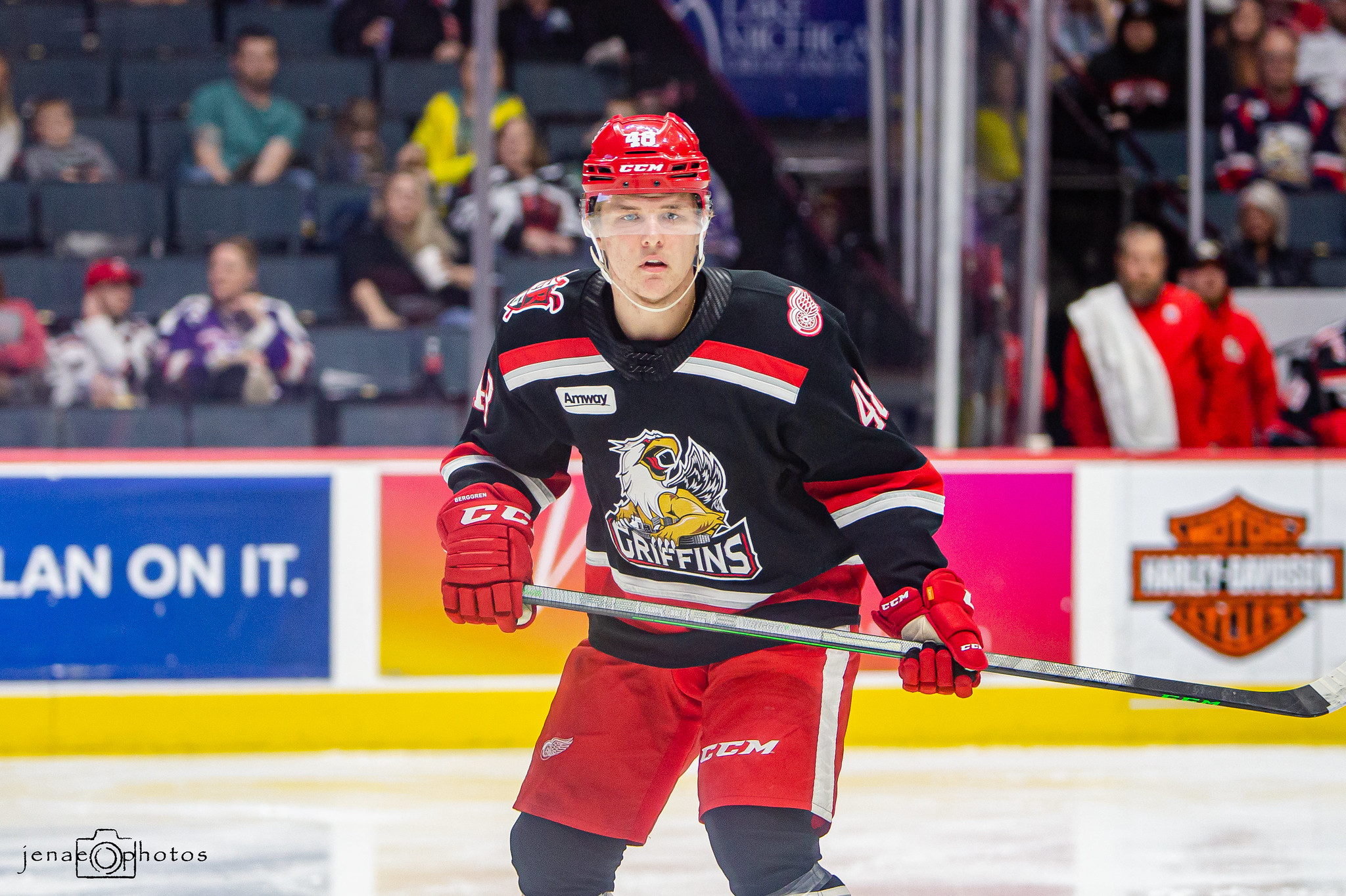 Grand Rapids Griffins unveil new look for 20th season