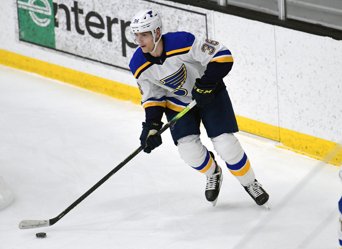 Steven Santini, St. Louis Blues